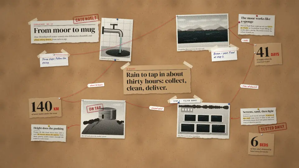 Paper Collage Explainer: sample output